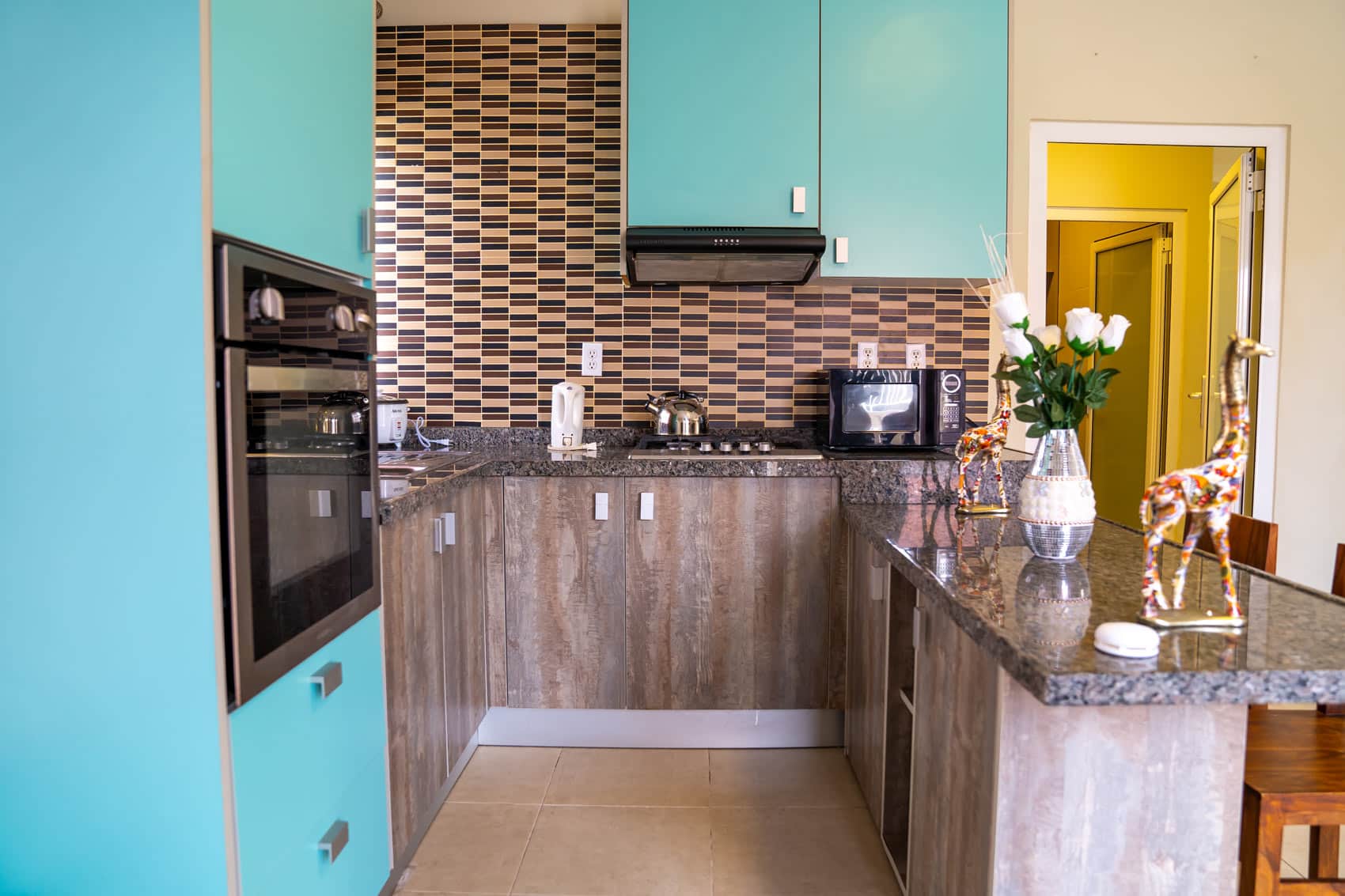 suite-kitchen_pict6